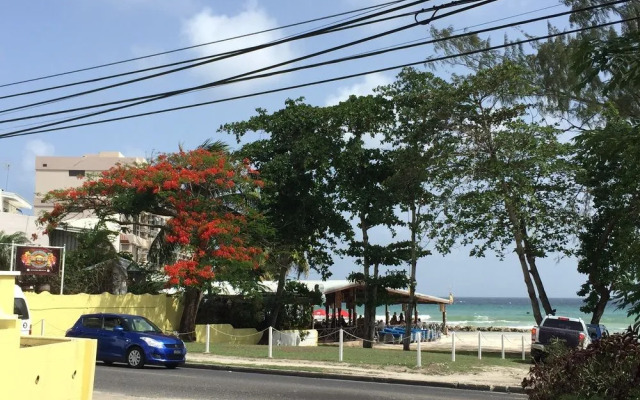 Sunhaven Beach Apartments