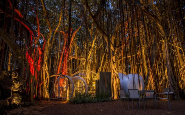 Bubble Lodge Ile aux Cerfs