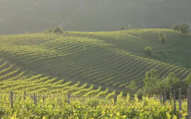 Cascina Arzenda