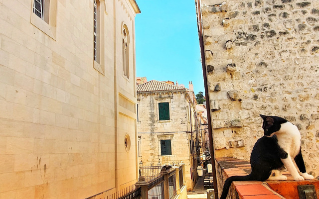 Heart of the City Apartments