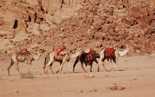 Wadi Rum Camp