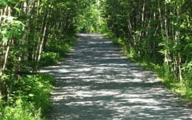 Braeside Court Bed & Breakfast