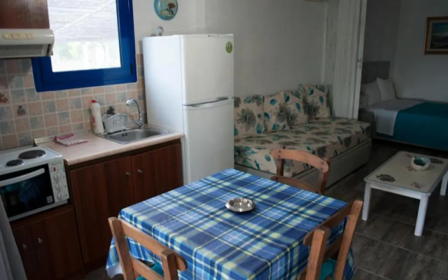 Blue Dreams Thimonia