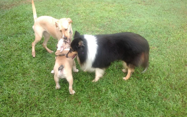 Lagoon Pocket Bed & Breakfast