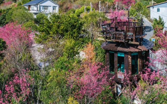 Yunnan Homestay