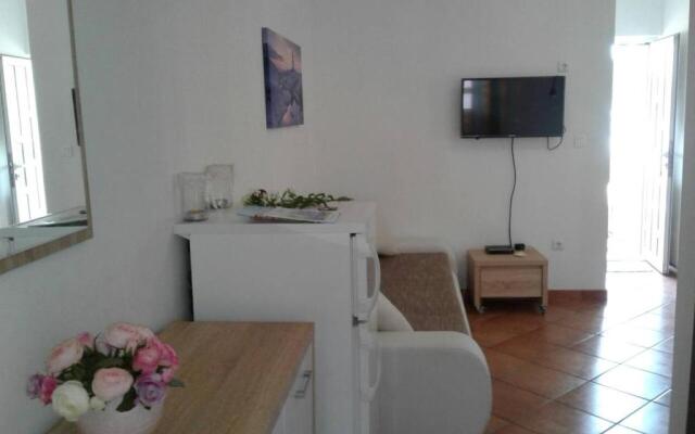 Apartment Romana