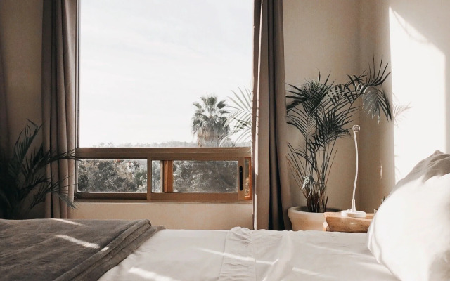 Suite Agaves in Todos Santos