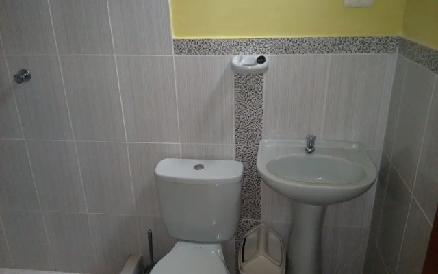 Selva del Sol