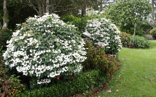 Paheke Boutique Lodge