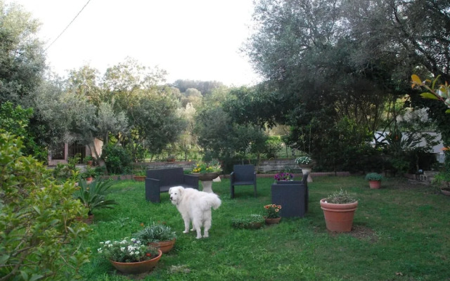 B&B Su Narboni Mannu E4247