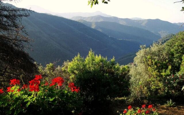 L'Albero del Cioccolato