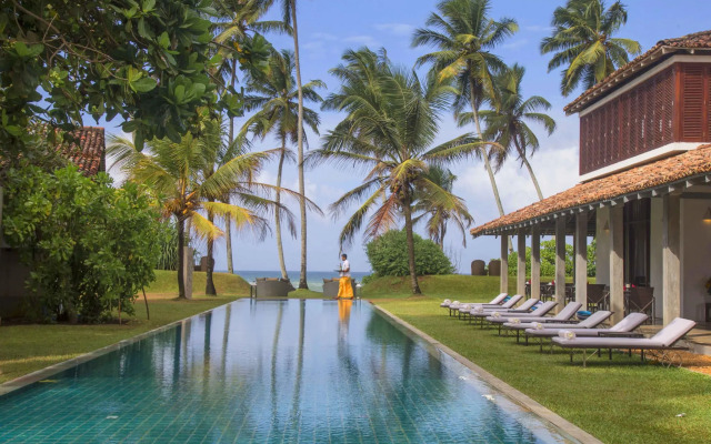 The Frangipani Tree By Edwards Collection