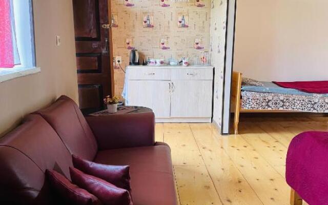 Travel Inn House Mestia • მოგზაურის სახლი