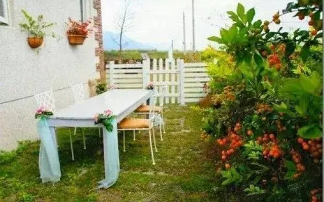 Flower Border Bed and Breakfast