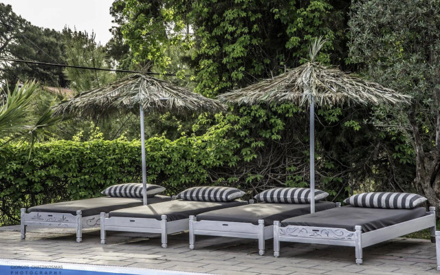 Отель Trees Art Boutique