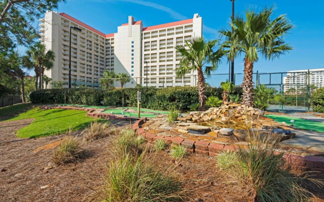 Tides 204-205 Lockout