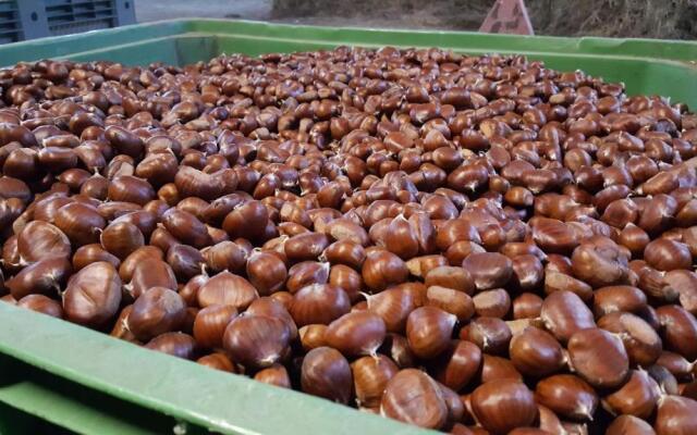 Agriturismo Bio I Rondinelli