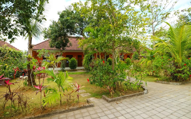 D'Abians Surf House