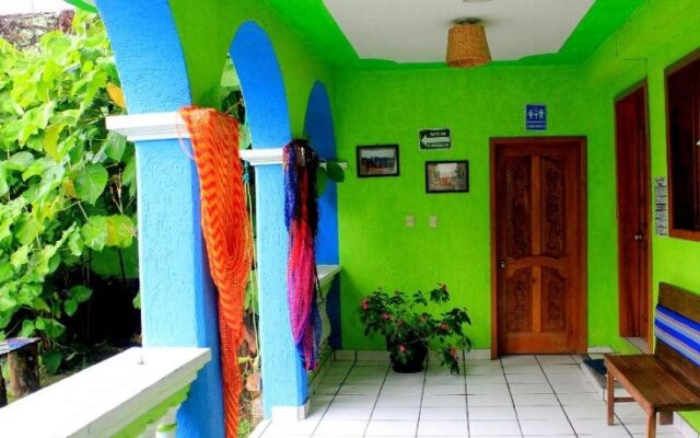 Iguana Hostel