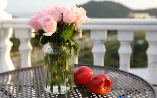 Zhuhai Joy Scenic Apartment (Qi'ao Island)