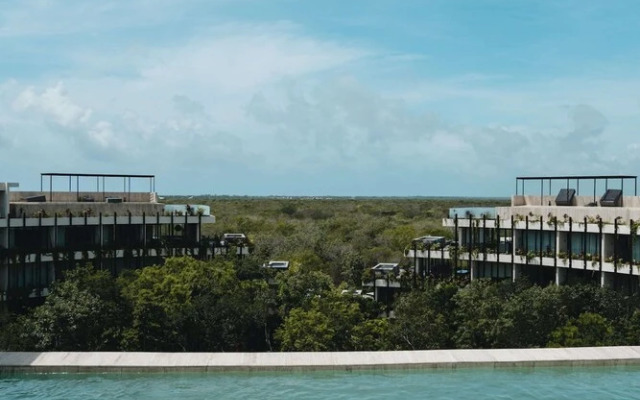 Beautiful Jungle Loft With Rooftop Pool and Gym