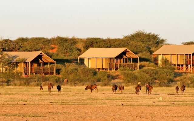 Intu Africa / Suricate Tented Lodge