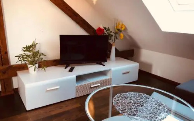 Moderne Wohnung im Grünen