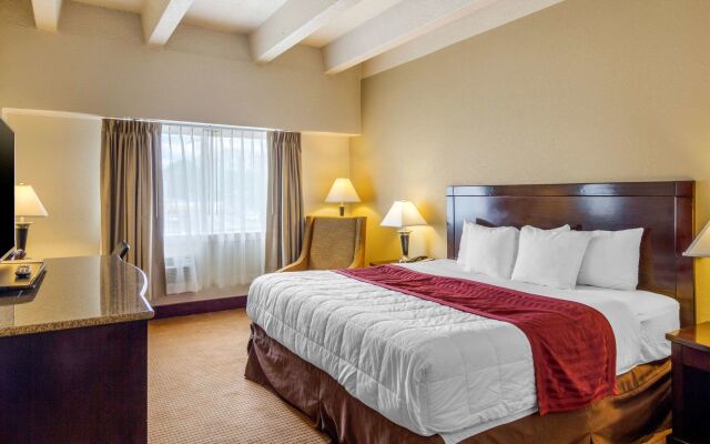 Quality Inn Denver Downtown