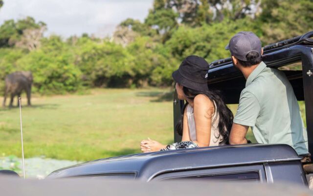 Jetwing Safari Camp - All Inclusive