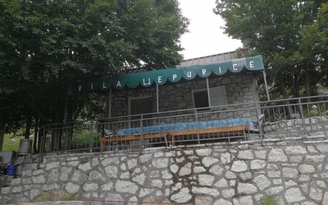 B&B Ljepurice