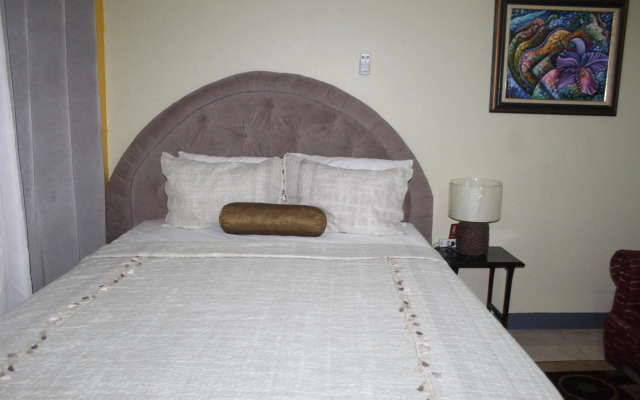 Comfy, Central & Elegant Studio New Kingston