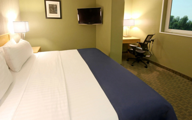 Holiday Inn Cuernavaca
