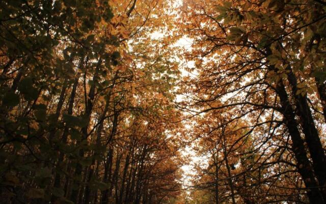 Matilde's Chalet Etna Nature House