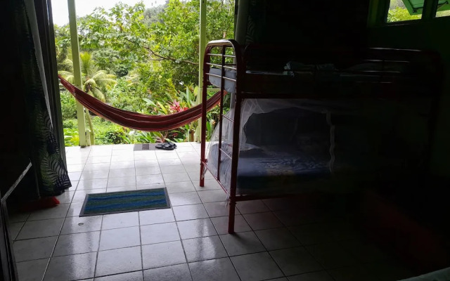 3 Rivers & Rosalie Forest Eco Lodge