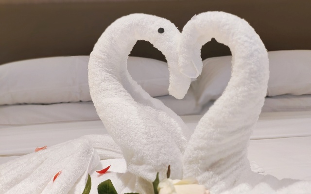 Vienna Hotel (Beihai Weizhou Island Lanqiao seaview shop)