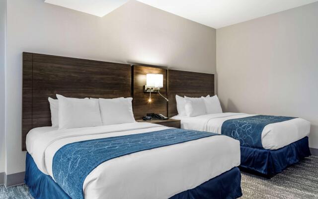 Comfort Suites McDonough Atlanta South