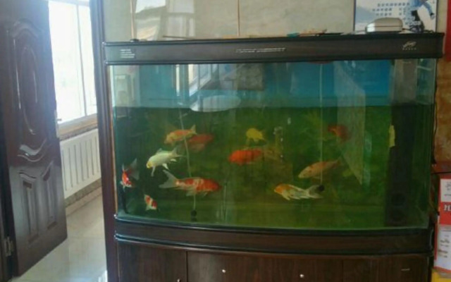 Harbin Shunhang Hotel
