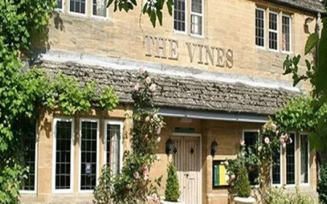 The Vines
