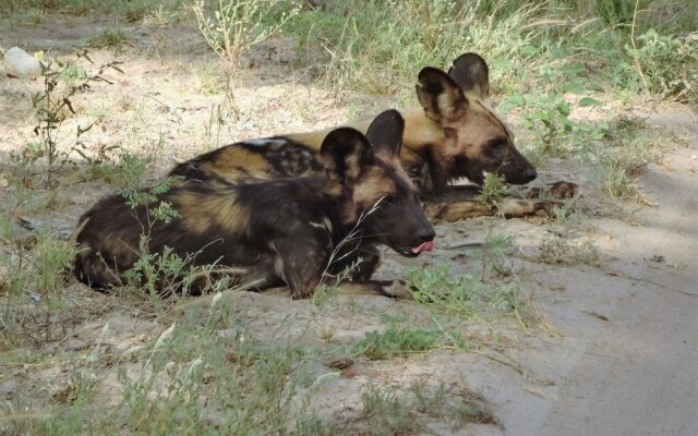 Lowveld Escape