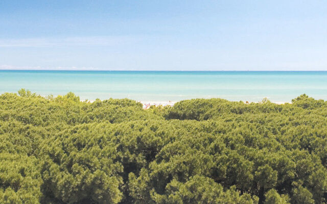 Hotel Stella del Mare