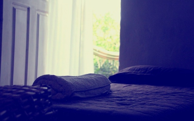 Farinha de Pau - Eco Rural Project