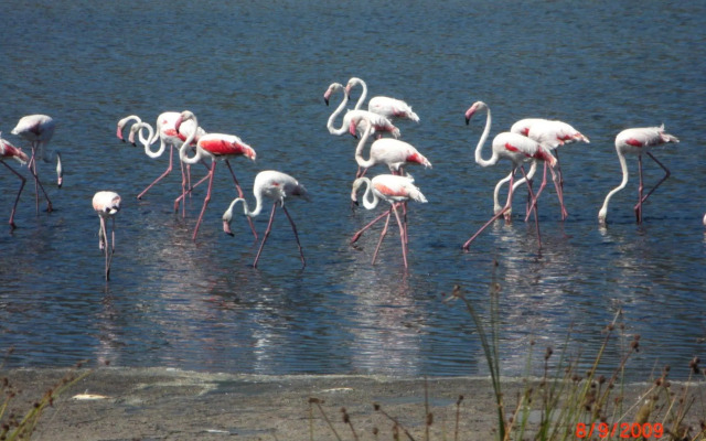 Villaggio Camping Torre Salinas