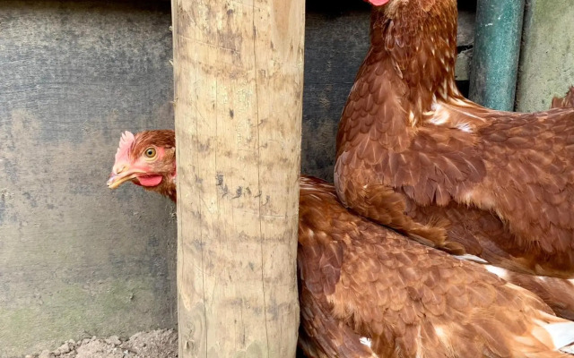 Casa do Paço Aveiro HolidayHome