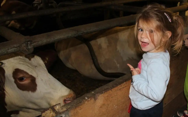 Appartement Stuibenfallblick