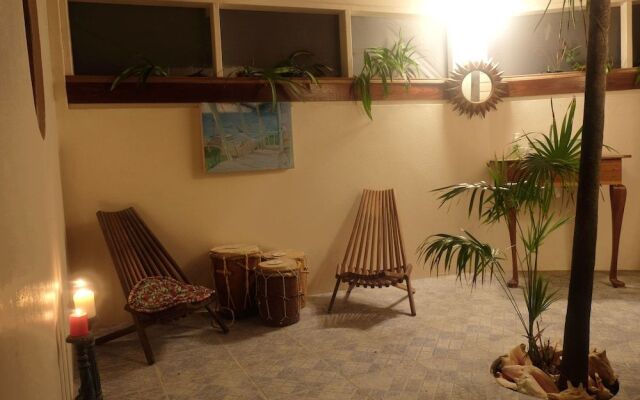 Jungle Cocoon