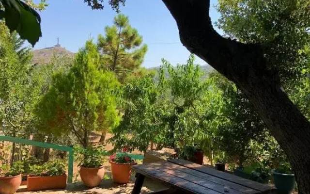 Yesil Vadi Apart Pansiyon