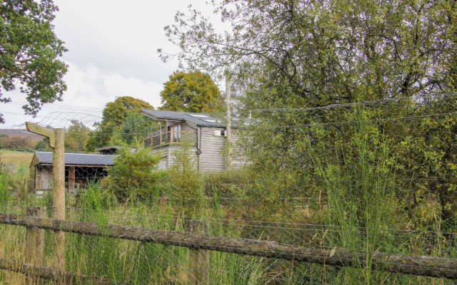 The Chicken Coop