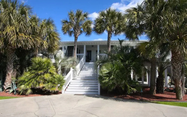 Fifty Palms by RedAwning