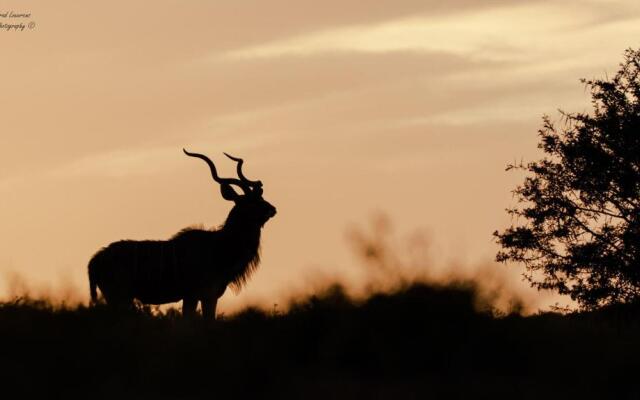 Woodbury Tented Camp - Amakhala Game Reserve