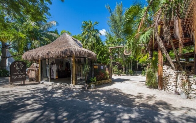 Yoga Shala - Adults Only